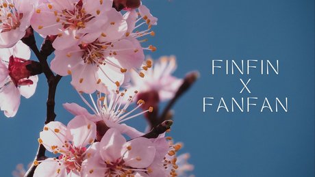 finfinxfanfan star nude galleries