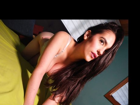 Soybella perfect star pictures