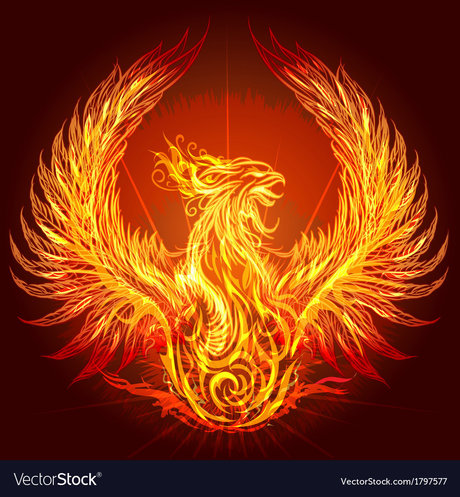 The Dark Bird of Light model pretty gallery