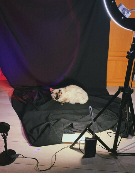 anast ass11 hermosa actriz imagen