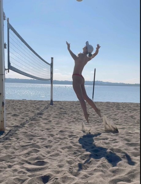 harpers handy estrella del arte galería