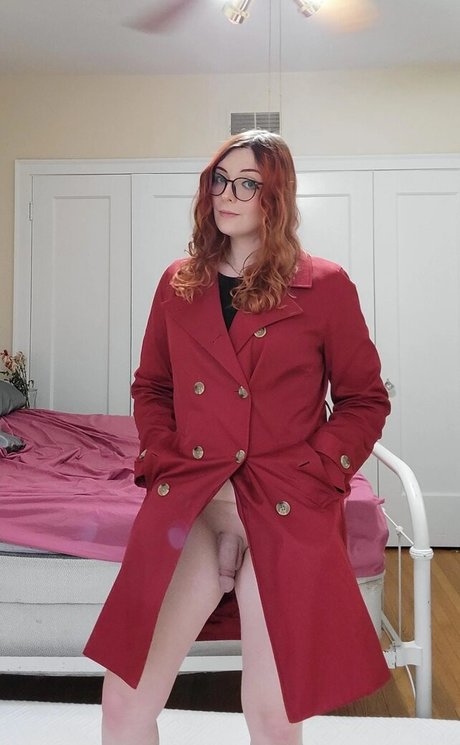 Ayyplusx libre de estrellas archivo