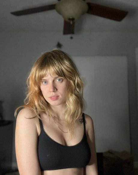 Cera Gibson art star du porno collection