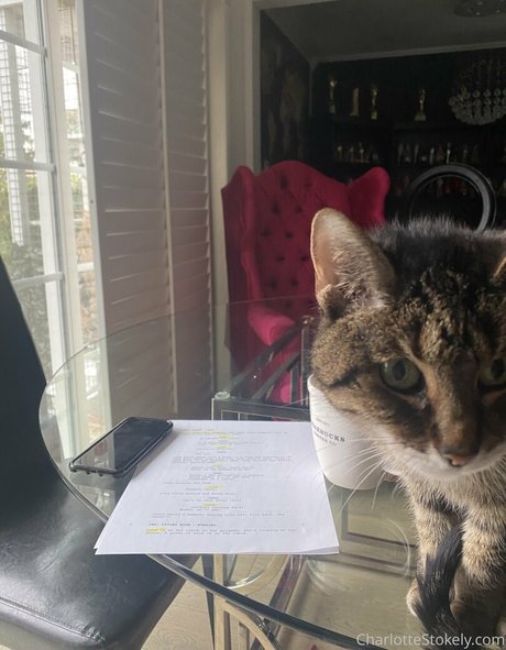 char stokely estrella porno mejor galerías