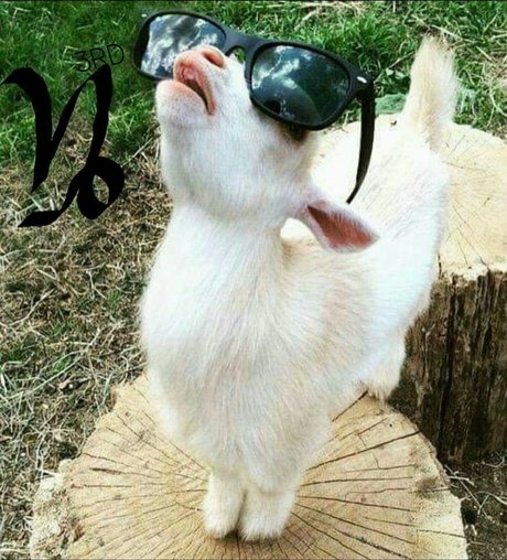 Itwontcookitsself profile image