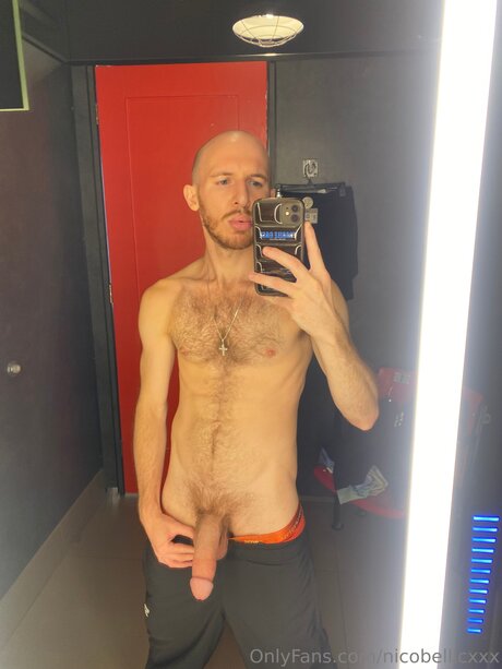 Nico Bellic modèle img