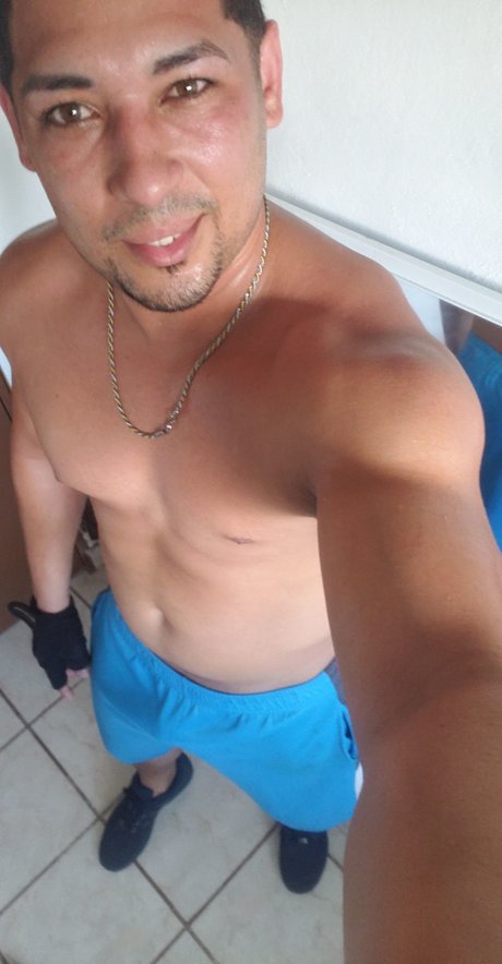 TBDJ model top img