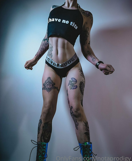 Notaprodigy modelo de alta calidad galería