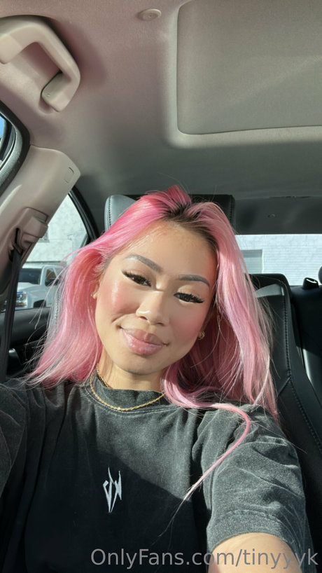 tinyyyk modèle gratuit image