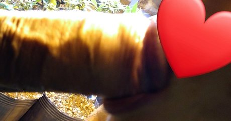 milf bbc onlyfans exclusif chaud photo