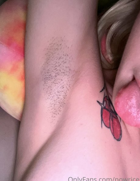 Powrice star du porno galeries