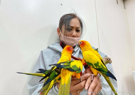 hotasiangranny nus étoiles image