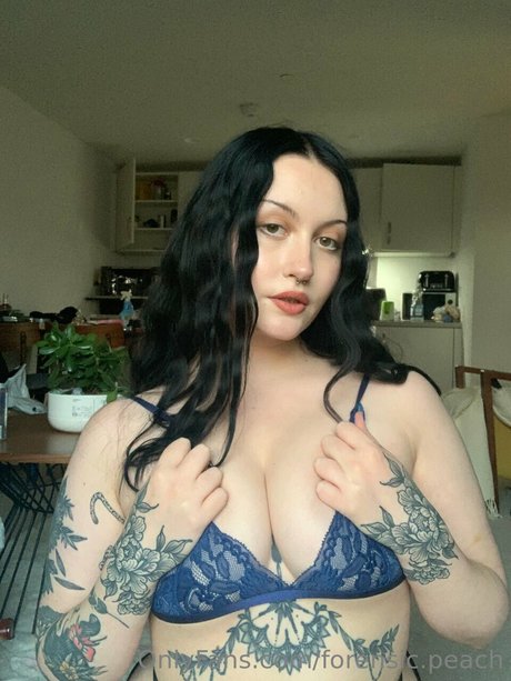 _MK estrella agradable galerías