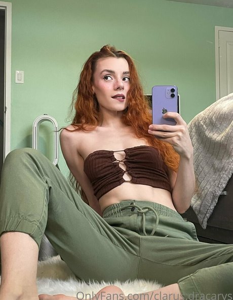 Clarus Polaris belle étoile image