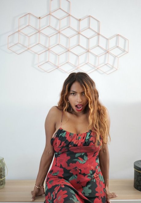 Latika Jha estrella superior galerías