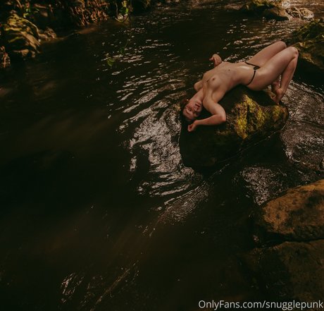 Snugglepunk modelo de arte archivo