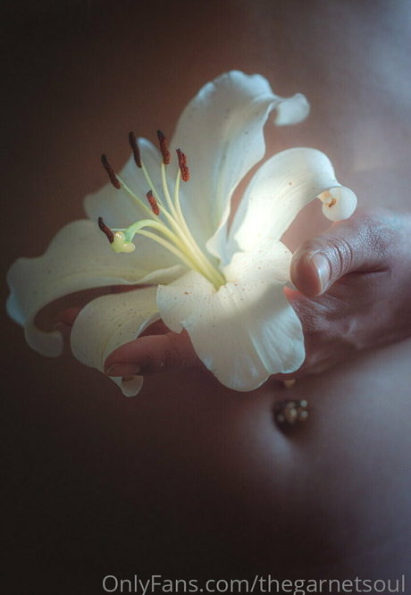 thegarnetsoul étoile chaude photos