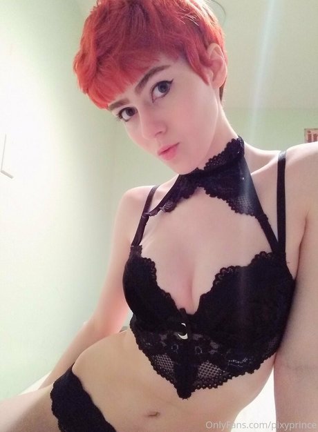 Pixyprince modelo superior imágenes