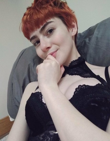 Pixyprince Imagen de perfil