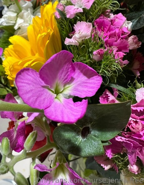 nurse jenna free modèles nus photos