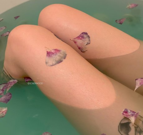 sobermood star du porno adulte photos