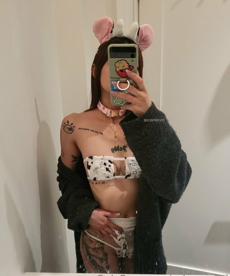 sobermood hd model picture
