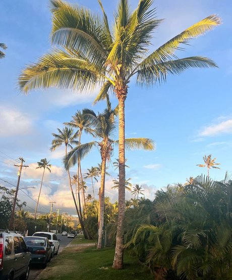 Keira Jackson estrella porno gratis recopilación