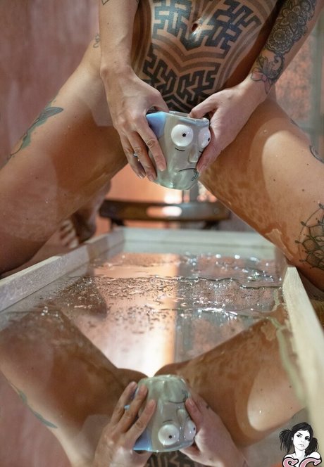 Yegola estrella libre archivo