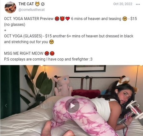 corneliusthecat pornstar pretty image