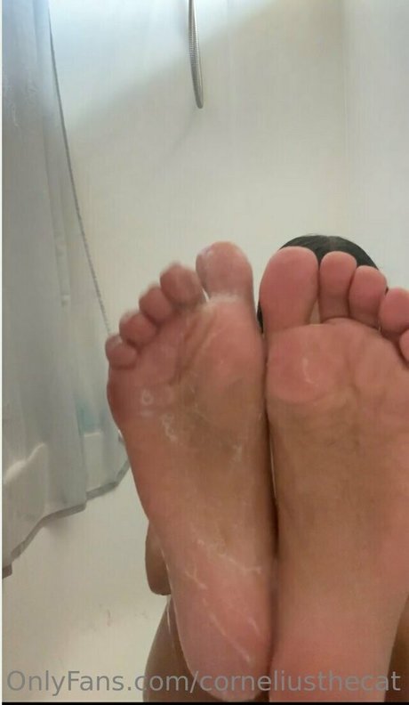 beautiful shemale onlyfans exclusive pic