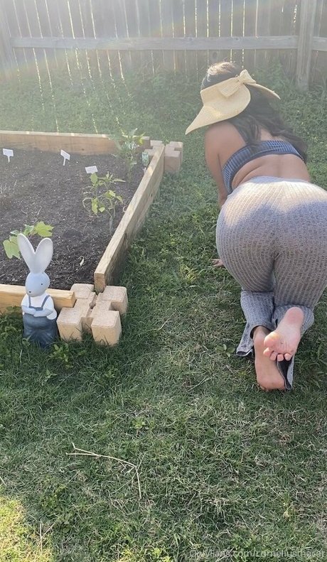 corneliusthecat sex actress galleries