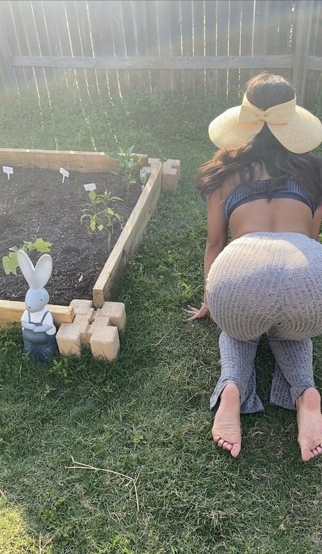 corneliusthecat étoile parfaite photo