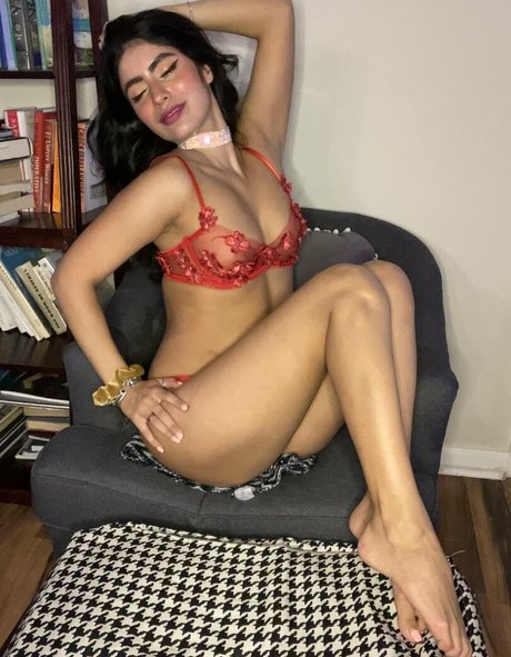 corneliusthecat estrella porno de arte archivo