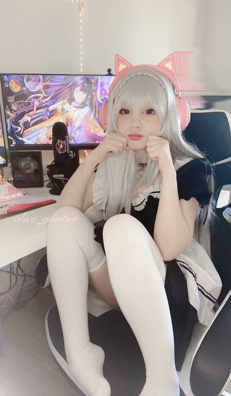 Araivun estrella libre galerías