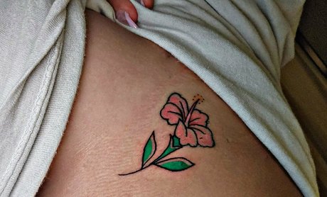 daphne63 meilleure étoile collection