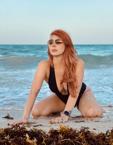 danyventurini star high quality galleries