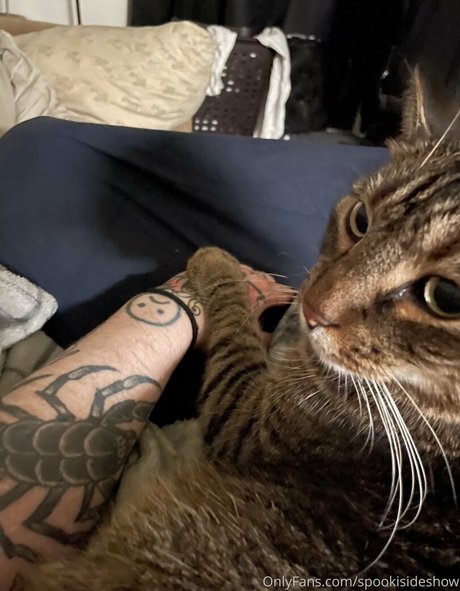 spookisideshow art étoile image