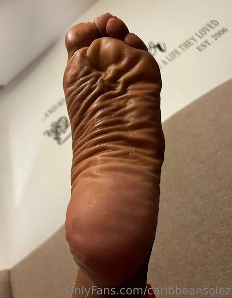 caribbeansolez art de star du porno archive