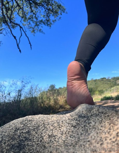 caribbeansolez art star du porno galerie