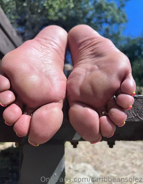 caribbeansolez Imagen de perfil