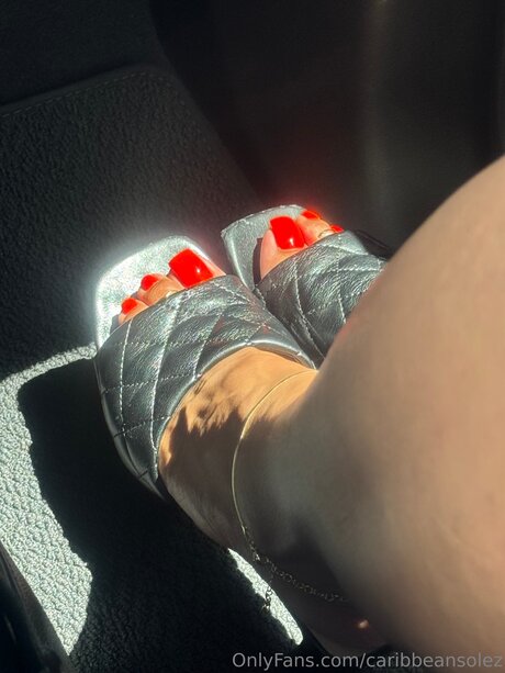 caribbeansolez actrice de grande qualité galeries