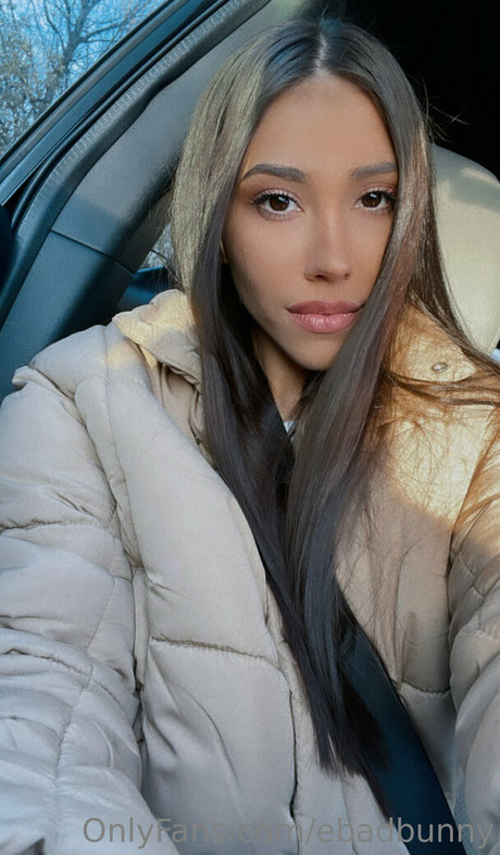 ebadbunny bonita estrella galerías