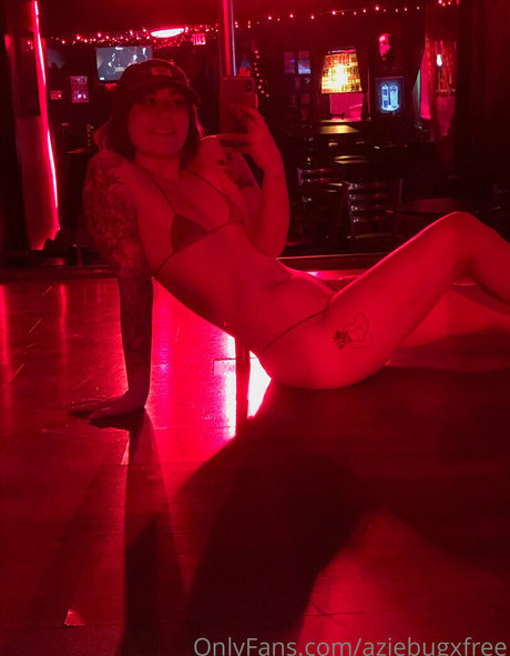 aziebugxfree modelo superior archivo