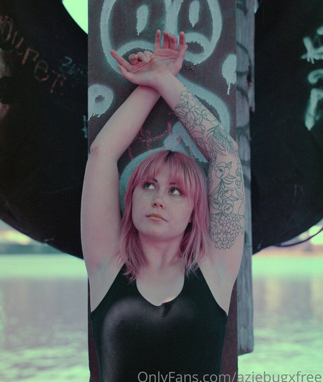 aziebugxfree meilleure étoile collection