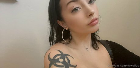 cmltd01 beau modèle collection