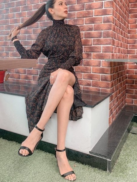 Palak Purswani modèle de haute qualité collection