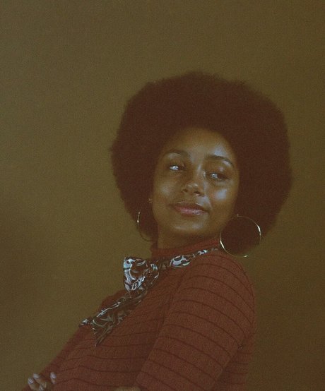 Plantbae estrella caliente galería