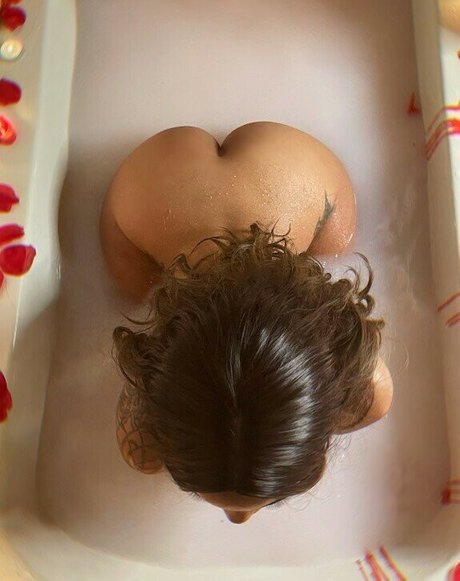 Cocodamore étoile adulte galeries