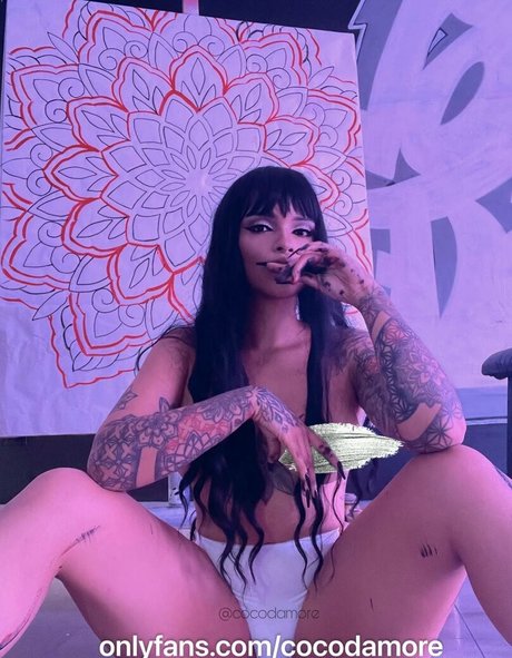 Cocodamore jolie star du porno galeries
