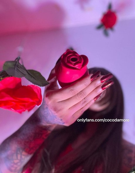 Cocodamore beautiful actress picture
